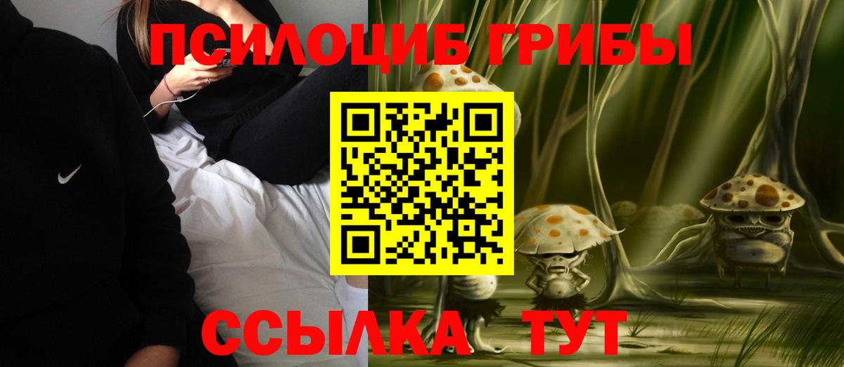 Псилоцибиновые грибы Psilocybe Щёлково